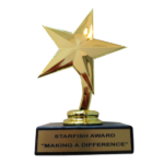 making a difference star fish award